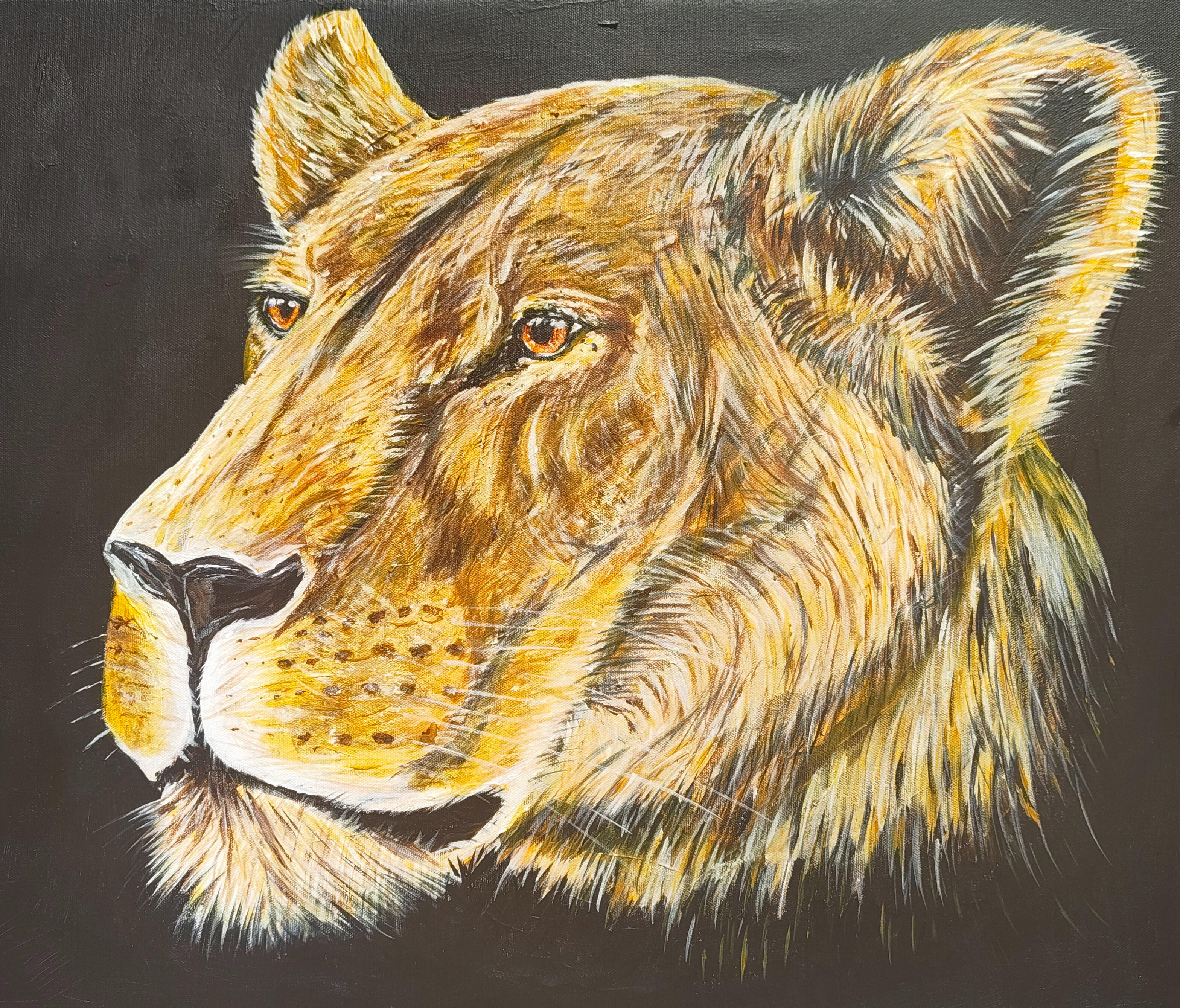 Lioness Lioness
