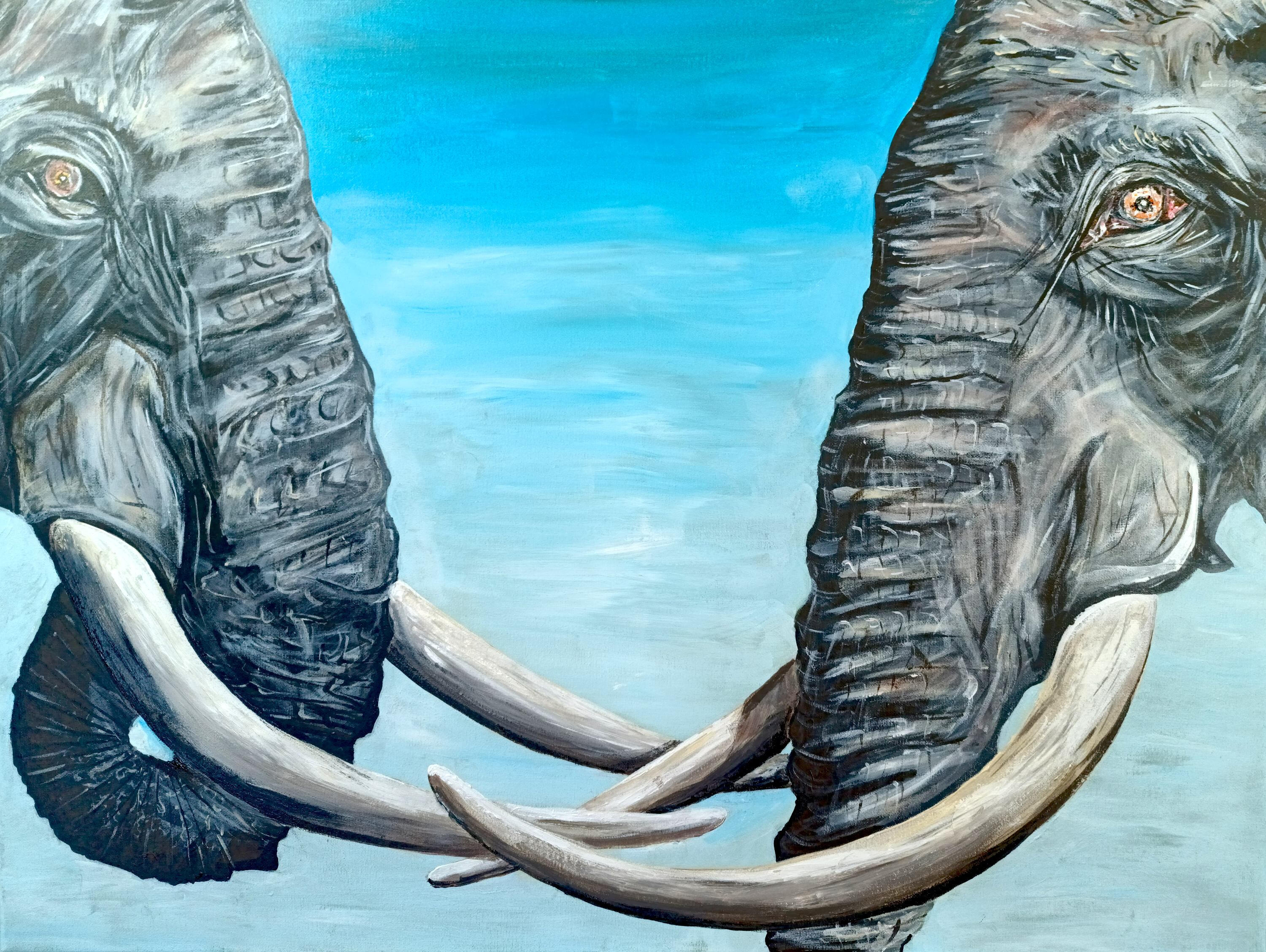 Crossing Paths Elephants