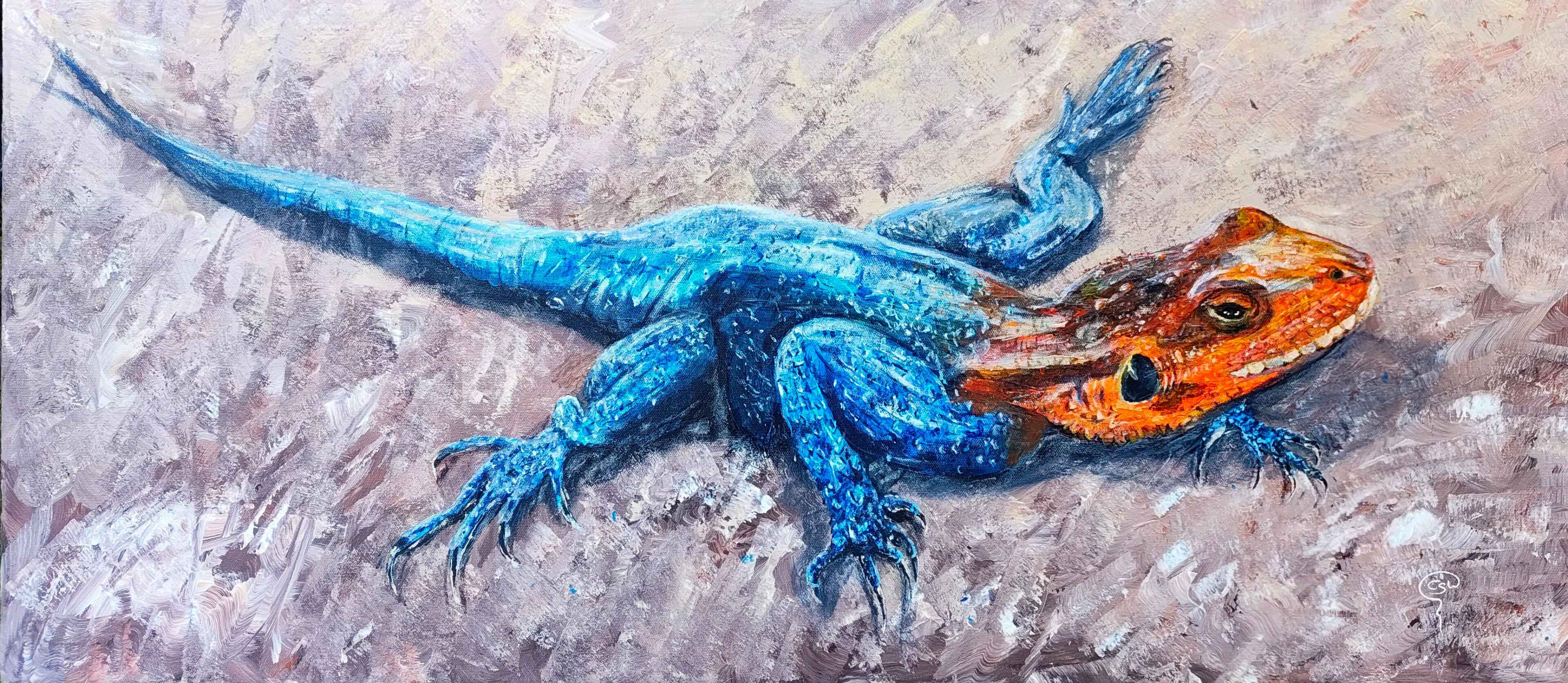 Oops, I did it Agama Oops, I did it Agama