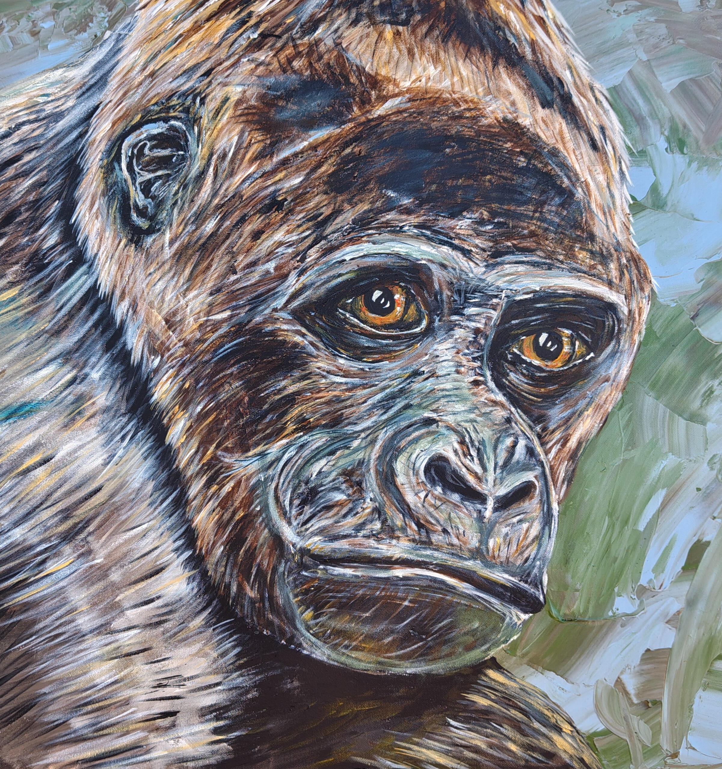 Gorilla Gorilla