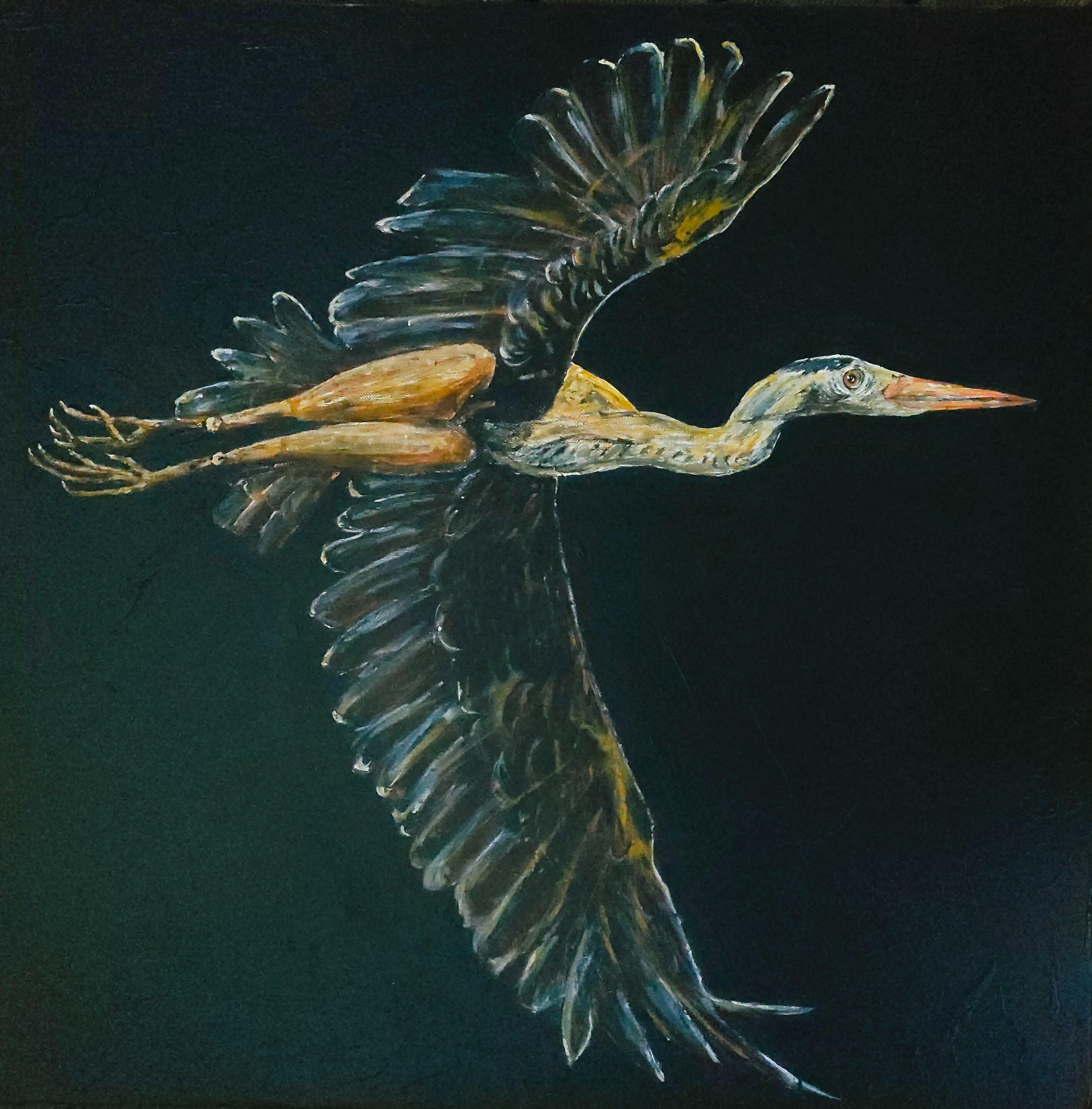 Heron Heron
