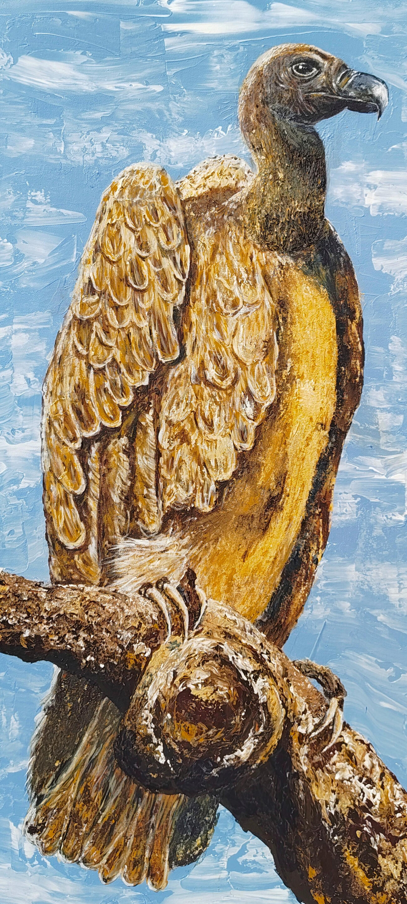 Vulture Vulture