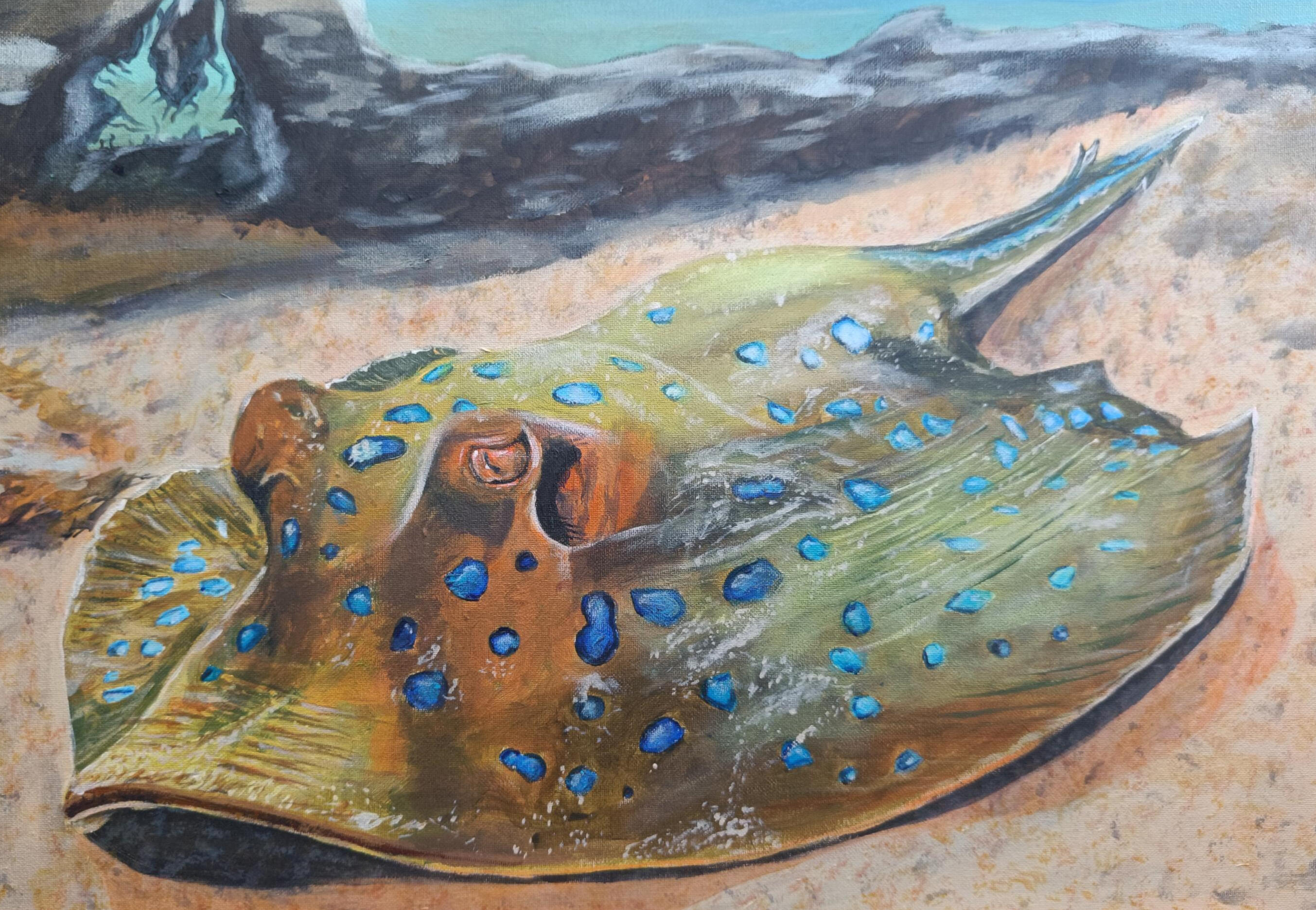 Blue Spotted Ray Blue Spotted Ray