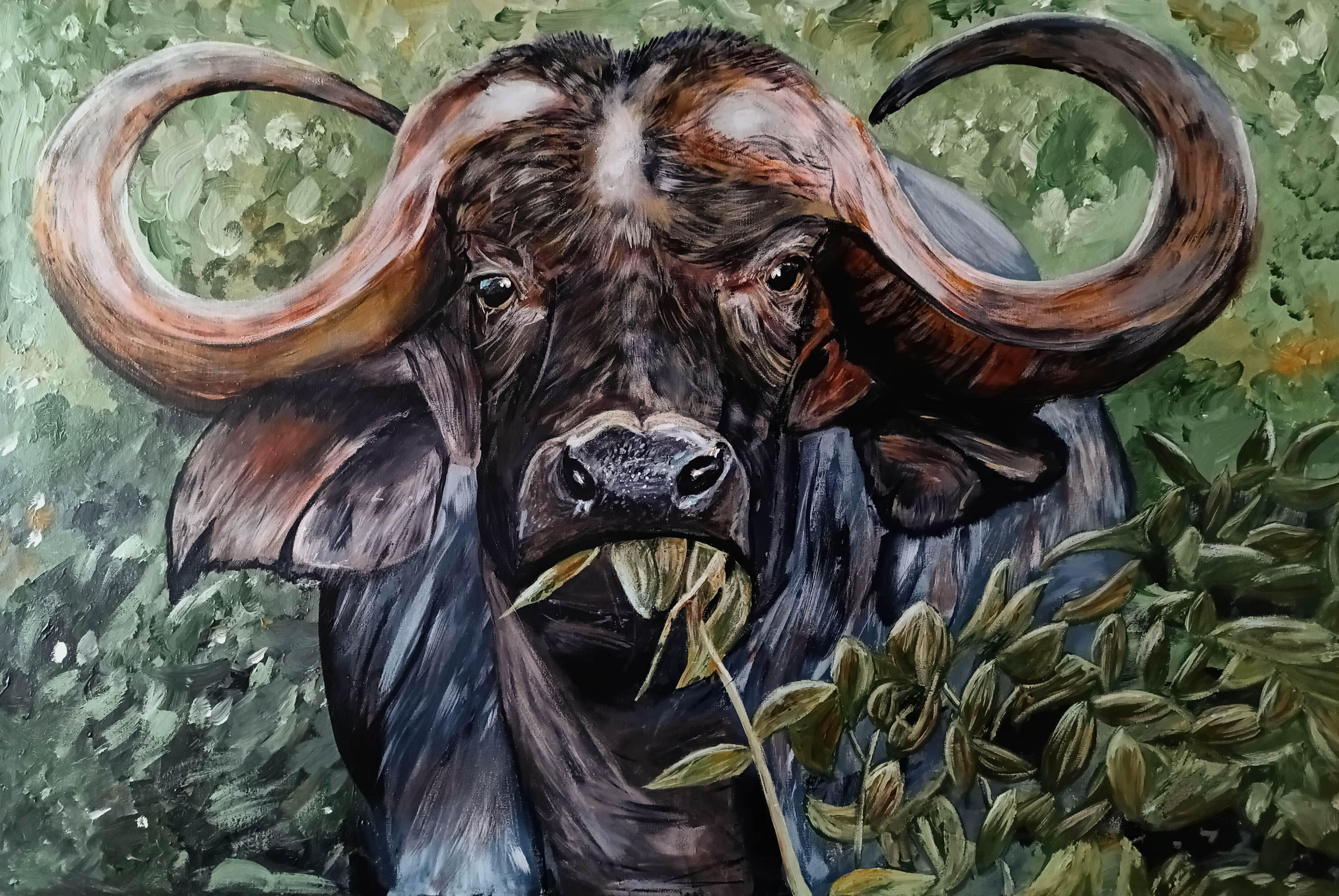 The Sentinel Buffalo